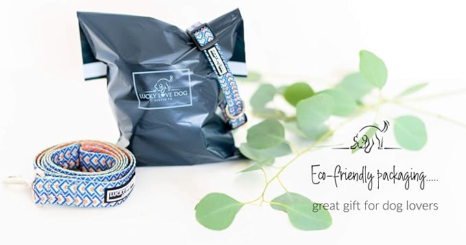 Lucky Love Dog Collars, Comfortable, Soft, Cute Dog Collar for Small Medium Large Dogs, Murphy, Small