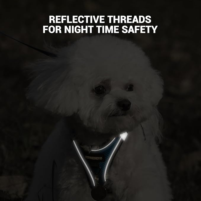 Dog Harness and Leash Set, Dog Harness for Dogs No Pull, No-Chock Step-in Reflective Breathable Lightweight Easy Walk Vest Harnesses with Safety Buckle for Small Medium Dogs, Cats (Blue, S)