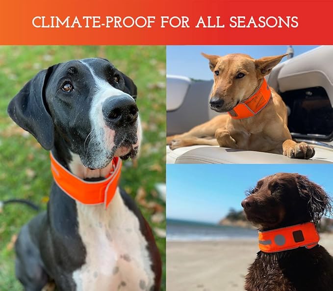 SPOT THE DOG! Reflective Dog Collar - Adjustable Pet Collars, Safe, Durable, Comfortable Dog Walking Accessories for Large Dog, Hunting Dog, Puppy, Lightweight Boy, Girl Dog Collars (Blaze Orange, L)