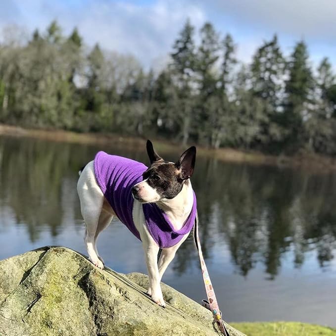 Gooby Fleece Vest Dog Sweater - Lavender, Small - Warm Pullover Fleece Dog Jacket with O-Ring Leash for Small to Medium Dogs