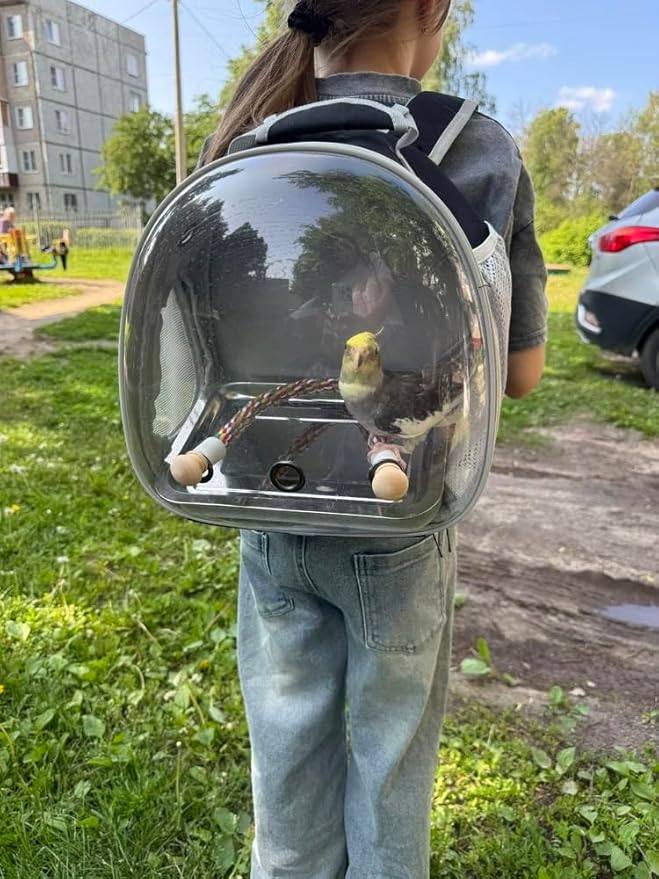 Small Bird Travel Backpack Carrier Cage, Backpack to Transport Backpack Carrier with Metal Tray Stand Perch for Parakeet Cockatiel Budgies Vet Carry Book Bag Green