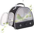 Bird Carrier, Portable Small Bird Parrot Parakeet Carrier with Standing Perch, Side Access Window Collapsible (Black, Mesh Windows)