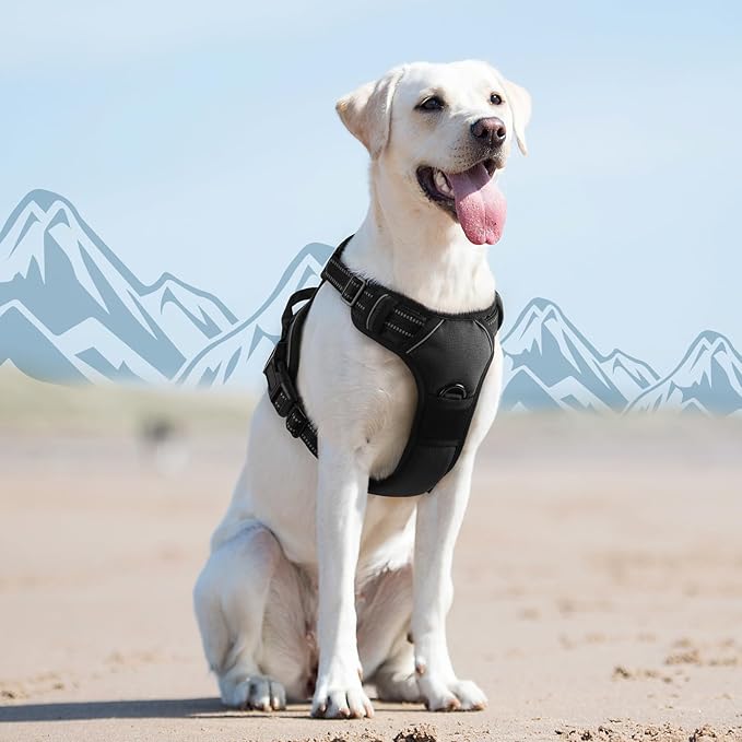 Eagloo Dog Harness for Large Dogs, No Pull Service Vest with Reflective Strips and Control Handle, Adjustable and Comfortable for Walking, No Choke Pet Harness with 2 Metal Rings, Black, L