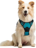 rabbitgoo Dog Harness No Pull with 2 Leash Clips, Adjustable Soft Padded, Reflective Oxford No Choke Pet Vest with Easy Control Handle for Medium Sized Dogs, Teal, M