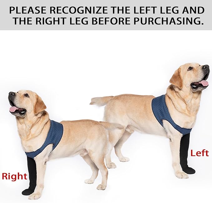 COODEO Dog Socks to Prevent Licking Paws, Healing Boots & Paw Protectors with Non-Slip Bottoms for Wound Protection, Waterproof Sleeve Shoes for Licking（Blue，XL_Left