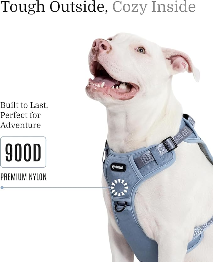 2025 New Edition, Fei & Eve MagEase Dog Harness - 3-Second Magnetic Buckles | 3-Point No-Pull Control | Heavy-Duty 900D Nylon | Dual Safety Handles | Breathable Mesh | Adjustable Fit | Medium, Blue