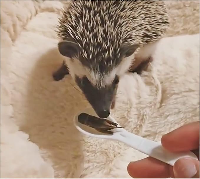 Groovy Grasshoppers - All Natural Healthy High Protein Insect Treat - Chickens, Birds, Hedgehogs, Bluebirds, Reptiles, Sugar Gliders, Opossums, Skunks, Lizards, Fish, Turtles, Amphibians (1.4 oz)