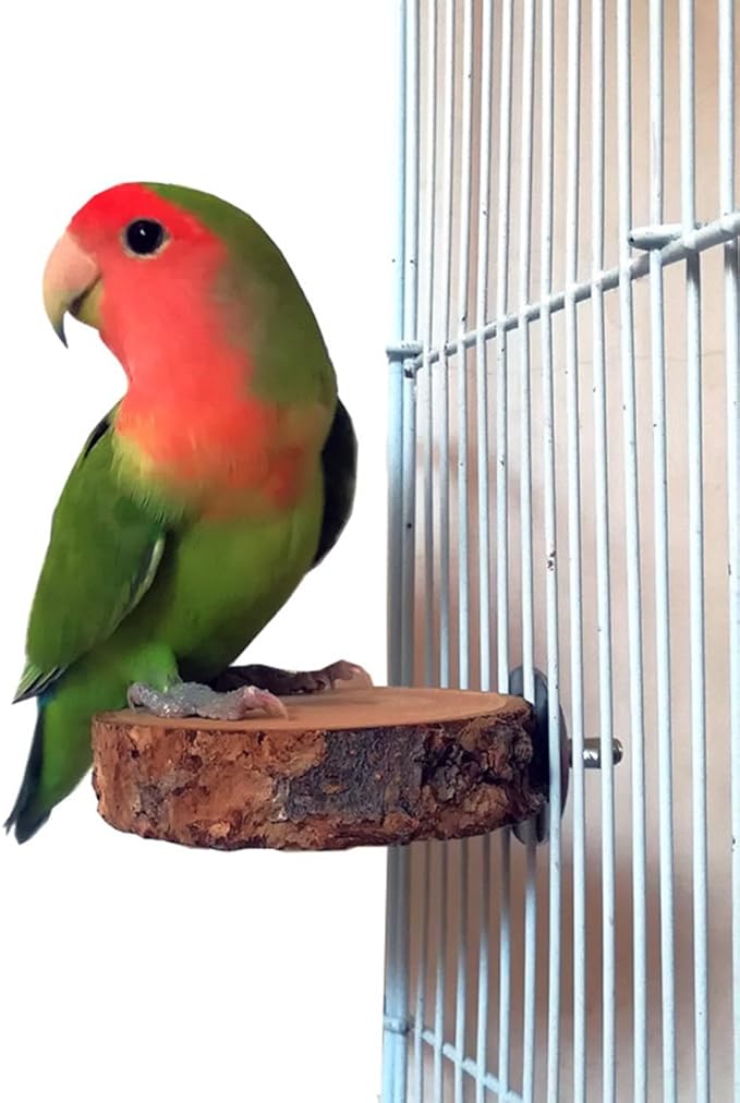 4PCS Natural Wood Bird Perches for Cage, Parrot Cage Perch Stand, Cage Accessories, Wooden Platform for Birds, Toys for Parakeets, Cockatiel, Budgie, Conure