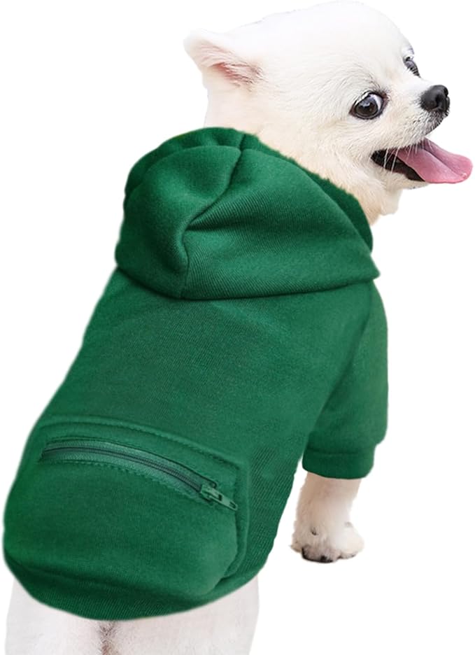 Jecikelon Pet Dog Cold Weather Coat with Pocket Winter Dog Hoodie Warm Puppy Clothes for Small Dogs Chihuahua Clothing (Green, XX-Small)