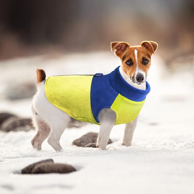 Idepet Dog Fleece Vest Sweater Zip Up Warm Pullover Dogs Jacket with D-Ring Leash Winter Cold Weater Coat Pet Sweatershirt Clothes Hoodie for Small Medium Dogs Boy Girl (Blue/Green, L)