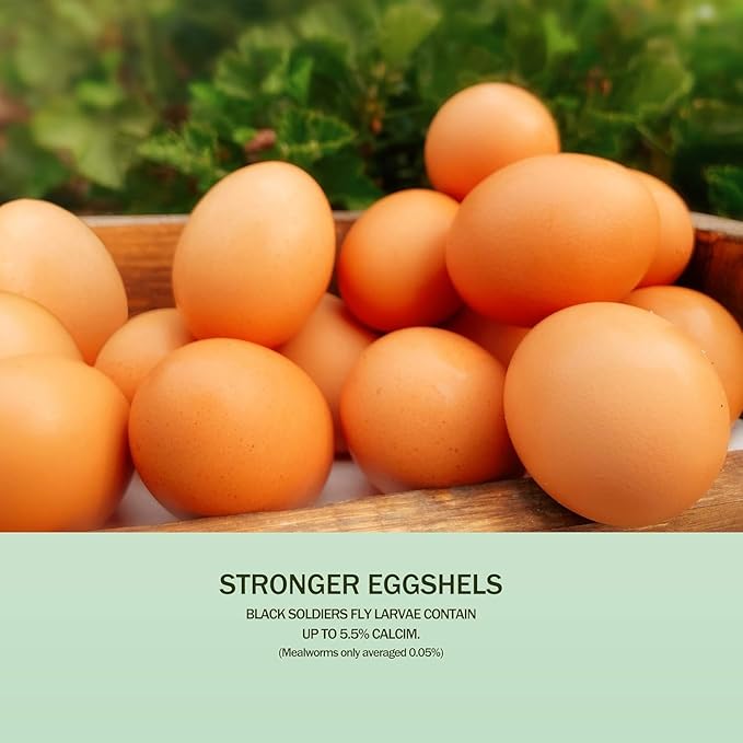 Amzey 11 LBS Dried Black Soldier Fly Larva - 100% Natural BSF Larvae - 85X More Calcium Than Mealworms - High Calcium Treats for Chickens, Birds, Reptiles, Hedgehog, Geckos, Turtles