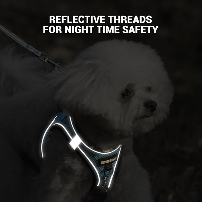 Dog Harness and Leash Set, Dog Harness for Dogs No Pull, No-Chock Step-in Reflective Breathable Lightweight Easy Walk Vest Harnesses with Safety Buckle for Small Medium Dogs, Cats (Light Blue, M)