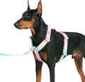 Spark Paws No Pull Dog Harness for Large Dogs, Heavy Duty Dog Harness for Big Strong Breeds, Adjustable, Y Shaped Padded Halter Design with Front Clip - Pastel Icing - S