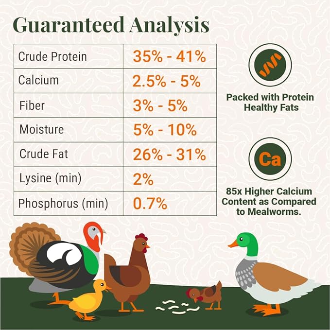 Natural Black Soldier Fly Larvae for Chickens, 85X More Calcium Than Mealworms-High Protein Grub Food Chicken Treats for Hens, Probiotic-Rich Chicken Feed, Calcium-Dense Bird Treat 5lb