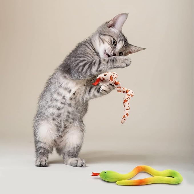 CiyvoLyeen 5 Pack Snake Cat Toys Catnip Toys for Indoor Cats Kitten Supplies Interactive Snakes Cat Toy Birthday Gift for Cat Lovers Dental Health Chew Toy