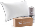 Goose Feather Down Fiber Standard Pillow Single Pack, Luxury 3-Chamber Pillows with Soft & Down-Proof Cover, Fluffy Plush Hotel Bed Pillows for Side, Back & Stomach Sleepers, 20"x26"