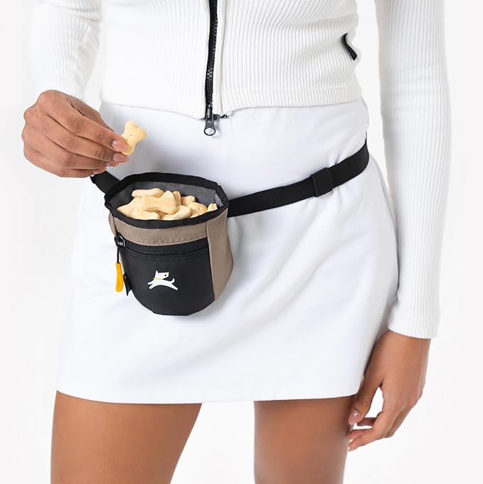 OllyDog Goodie Treat Bag, Dog Treat Pouch, Waist Belt Clip for Hands-Free Training, Magnetic Closure, Dog Training and Behavior Aids, Three Ways to Wear (Portabella)