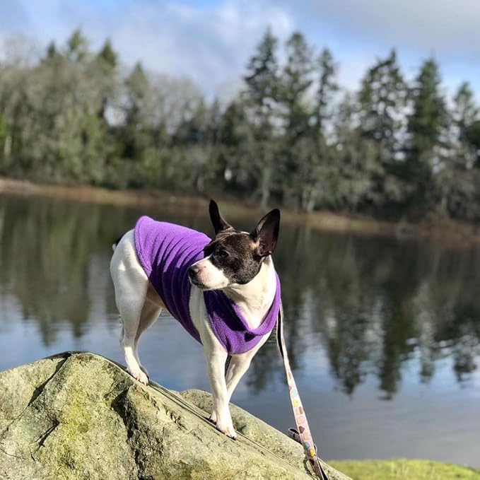 Gooby Fleece Vest Dog Sweater - Lavender, X-Large - Warm Pullover Fleece Dog Jacket with O-Ring Leash for Small to Medium Dogs