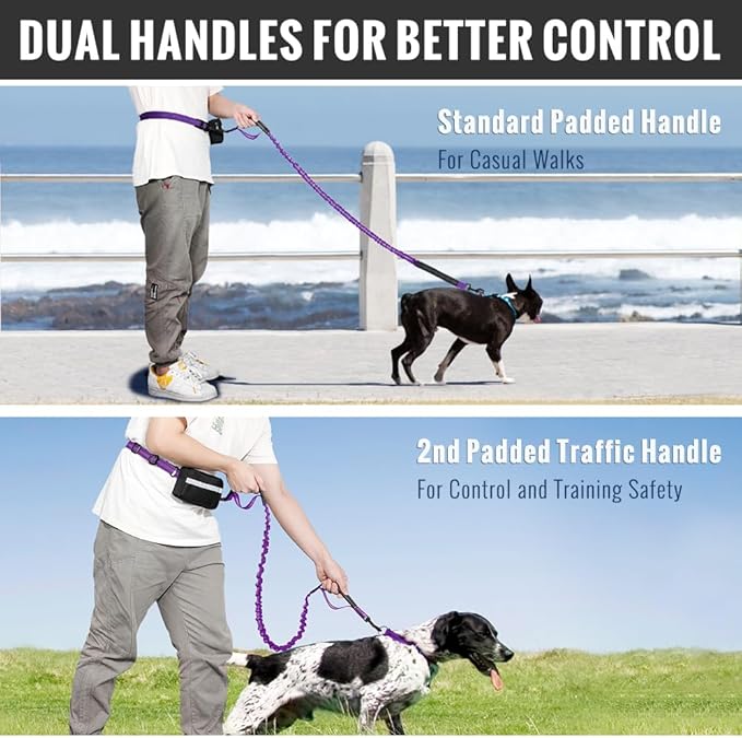 Plutus Pet Hands Free Dual Handle Retractable Bungee Leash with Reflective Stitches, Adjustable Waist for Dogs Walking, Jogging, for Medium Large Dogs