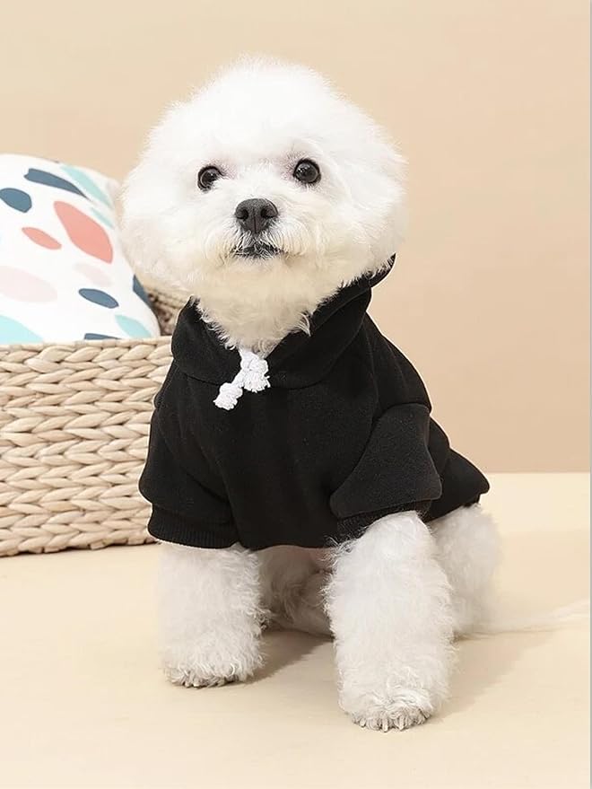 QWINEE Basic Dog Hoodie Sweatshirt Puppy Sweater Warm Cat Costumes Pet Clothes for Chihuahua Puppy Kitten Small Medium Dogs Multicolored X-Large