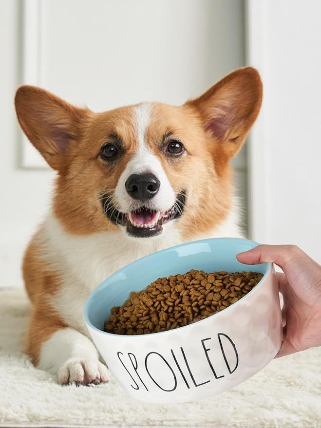 27OZ Ceramic Dog Bowl - 6 Inch Small Food Water Bowl, Heavy Duty Non-Slip Dog Dish for Medium Dogs, Food Grade Porcelain Pet Feeder Bowls, Microwave & Dishwasher Safe, Blue