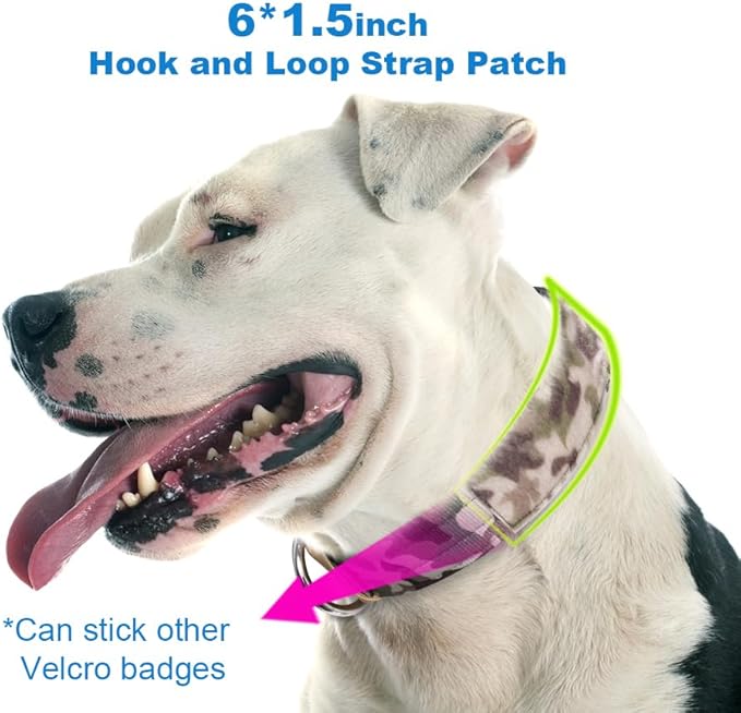 TSPRO Tactical Dog Collar with Metal Buckle & Patch, 1.5 Inch Wide, Adjustable, Durable Thick Collar for Medium to Large Dogs (Camo Cyan)