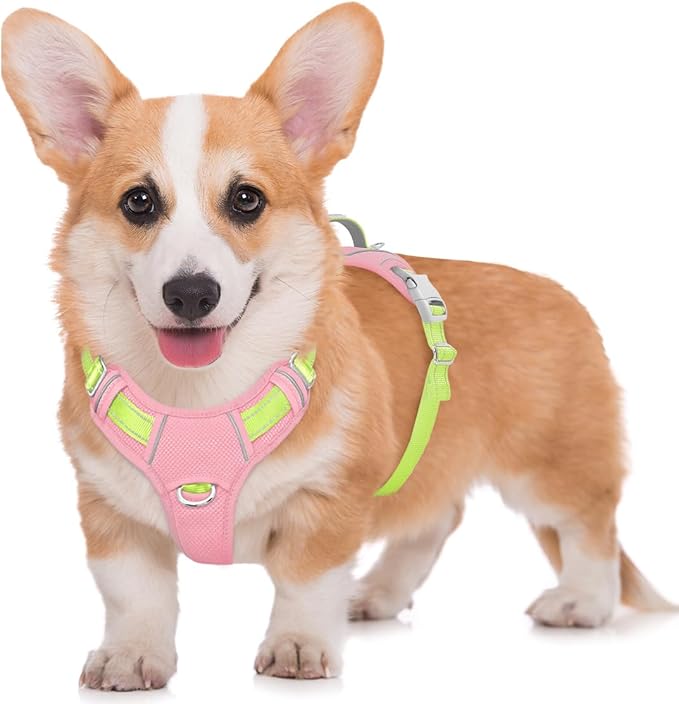 BARKBAY No Pull Dog Harness Large Reflective Dog Harness with Front Clip and Easy Control Handle for Walking Training Running with ID tag Pocket(Baby Pink & Sunlight,M)