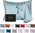 Mulberry Silk Pillowcase for Hair and Skin - Cooling Silk Pillow Case with Hidden Zipper, Allergen Proof Dual Sides Soft Breathable Smooth Silk Pillow Cover for Women (Aqua Blue)