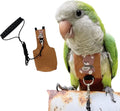 Bird Diaper Harness Flight Suit Clothes, Parrot Flight Suit with Leash for Parrot, Bird Flying Clothes with Rope and Handle for Outdoor Activities Training (with Leash,Budgie)