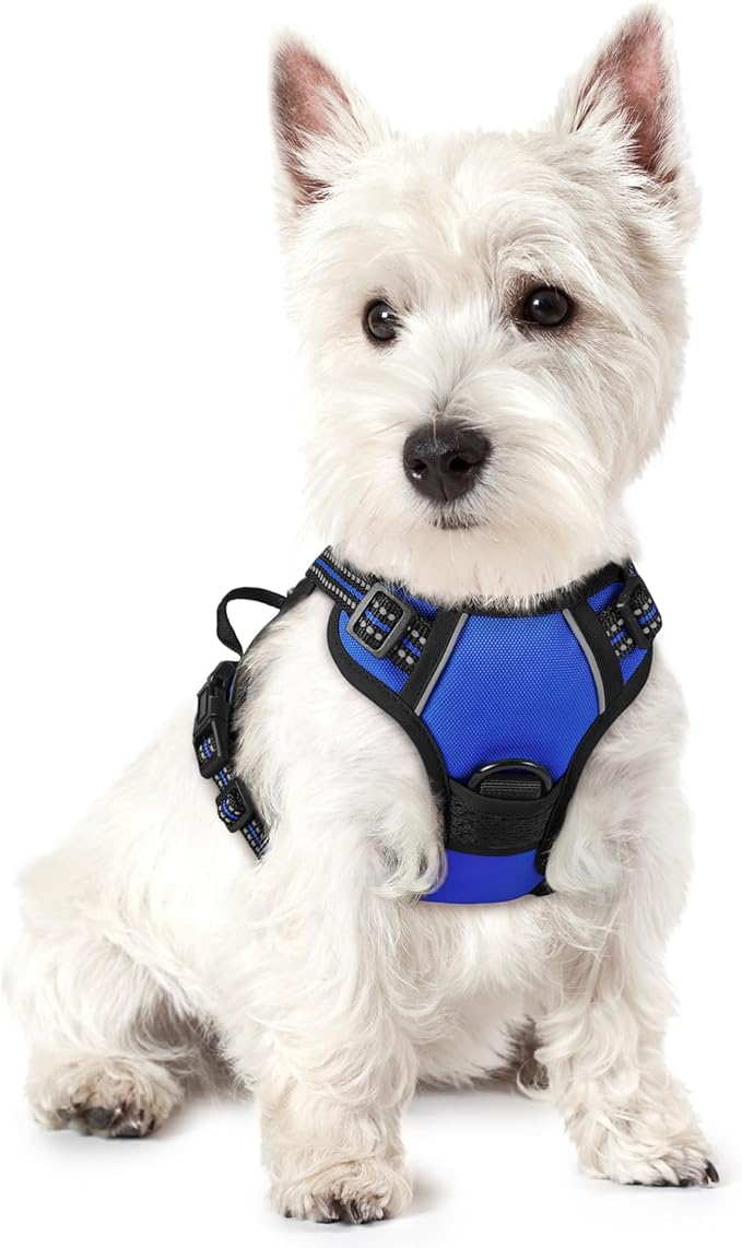 rabbitgoo Dog Harness No Pull with 2 Leash Clips, Adjustable Soft Padded, Reflective Oxford No Choke Pet Vest with Easy Control Handle for Puppy, Dazzling Blue,XS