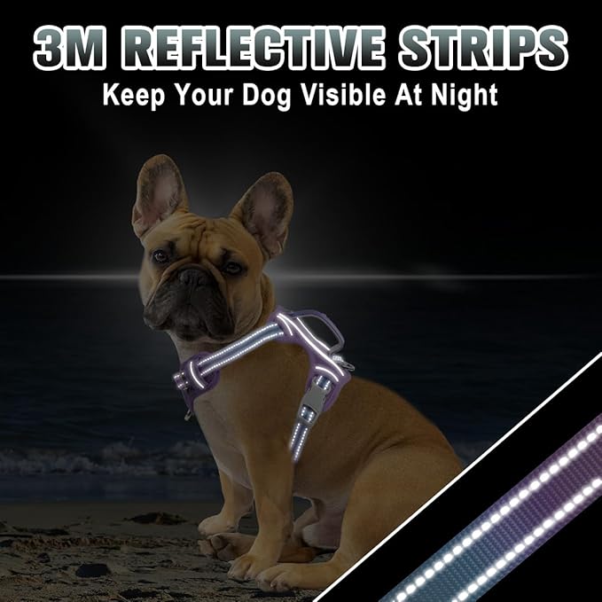 BARKBAY No Pull Dog Harness Large Reflective Dog Harness with Front Clip and Easy Control Handle for Walking Training Running with ID tag Pocket(Lavender Sky,S)