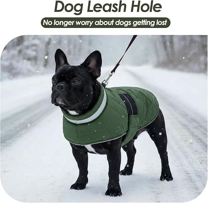 Dog Winter Coat Warm Padded Puppy Jacket Windproof Water Resistant Clothes for Small Medium Large Pets Christmas Sweater Outfit Vest(Green, M)