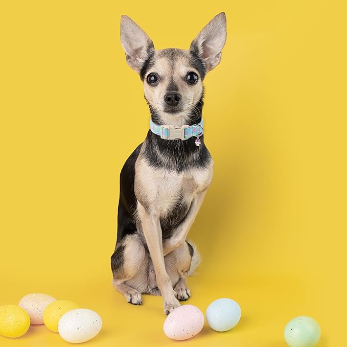 DOGWONG Easter Dog Collar, Easter Blue Egg Bunny Dog Collars, Adjustable Cute Easter Rabbit Pet Collars Design Dog Collar Quick Release Buckle for Small Medium Large Dogs