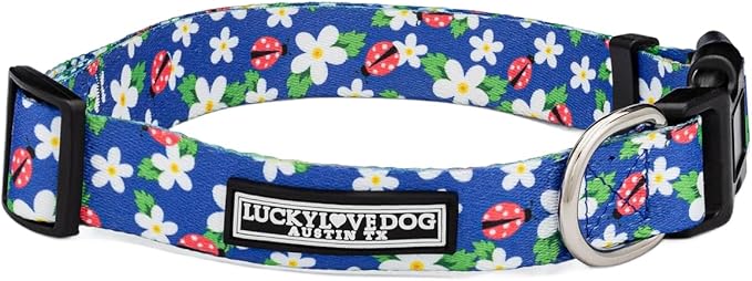 Lucky Love Dog - Adjustable Dog Collar with Easy Click Buckle for Small to Large Ones, Durable, & Comfortable for Male & Female Dogs, Pet Collar for Puppies & Adult Dogs - Lilian, Medium