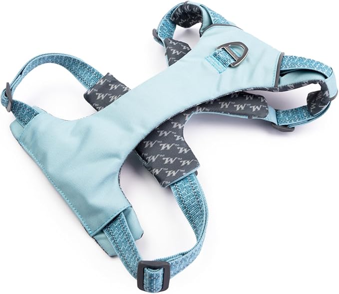 Winchester Pet No-Pull Adjustable Soft Padded Dog Vest Harness with Reflective Stitching, Aqua Haze, Large