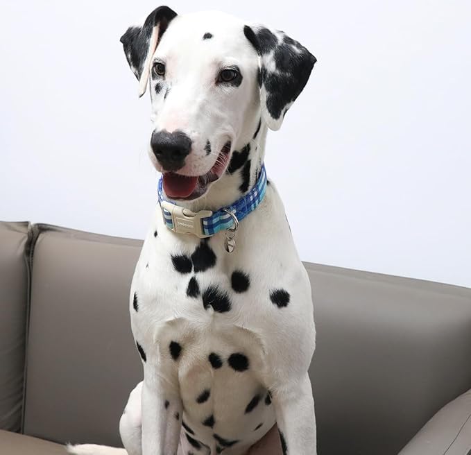 DOGWONG Cotton Dog Collar, Blue Plaid Heavy-Duty Dog Collar Durable Soft Boy Dog Collar Cute Wedding Puppy Necklace for Small Medium Large Dog