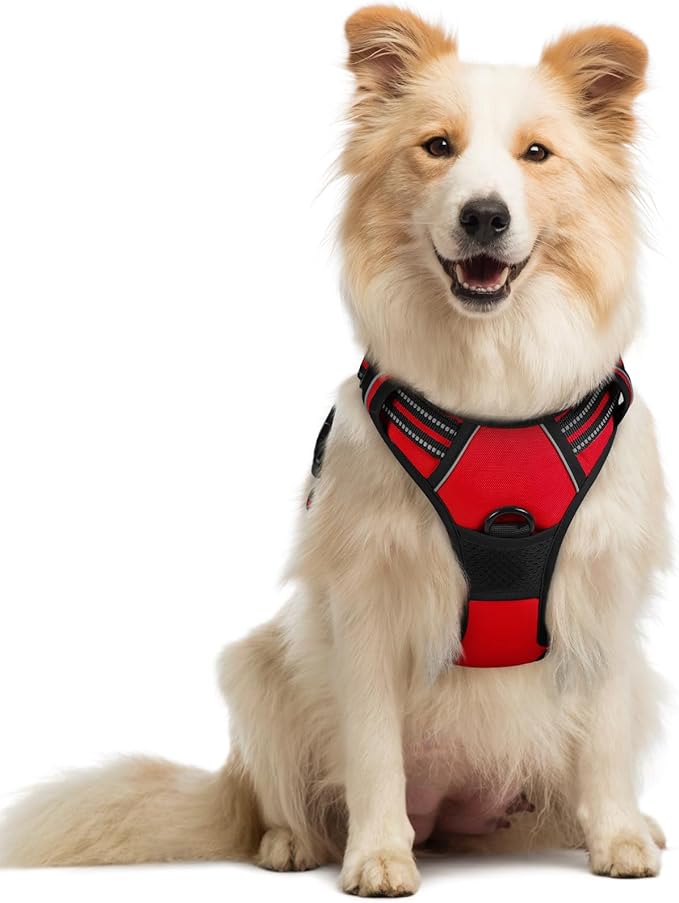 rabbitgoo Dog Harness No Pull with 2 Leash Clips, Adjustable Soft Padded, Reflective Oxford No Choke Pet Vest with Easy Control Handle for Medium Sized Dogs, Red, M