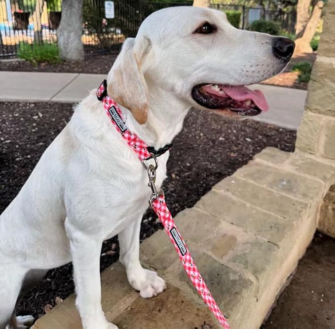 Lucky Love Dog - Adjustable Dog Collar with Easy Click Buckle for Small to Large Ones, Durable, & Comfortable for Male & Female Dogs, Pet Collar for Puppies & Adult Dogs - Bailey, Large