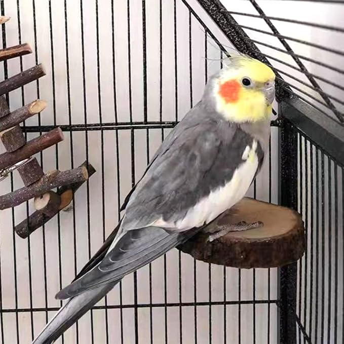 Hamiledyi Perch Platform for Bird Cage,Natural Round Wooden Stand Platform Bird Toy for Canary Parakeet Cockatiel Parrot Budgie Sparrow(3 Pcs)