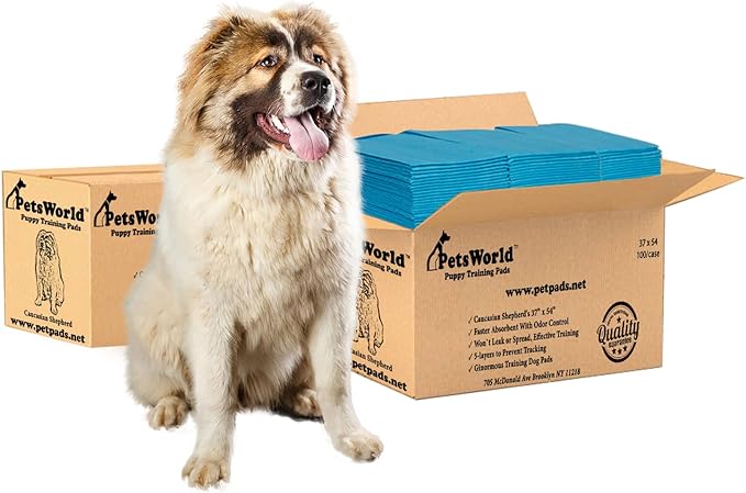 PETSWORLD Enormous Dog Training & Potty Pads, 37x54 inch - Tear Resistant with Strong Leak-Proof Backing, Optional Adhesive Tape, 200 Count