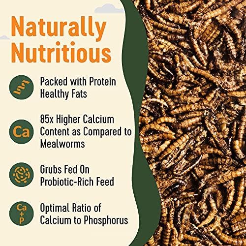 Natural Black Soldier Fly Larvae for Chickens, 85X More Calcium Than Mealworms-High Protein Grub Food Chicken Treats for Hens, Probiotic & Calcium Rich Chicken Feed, Bird Treat 1lb