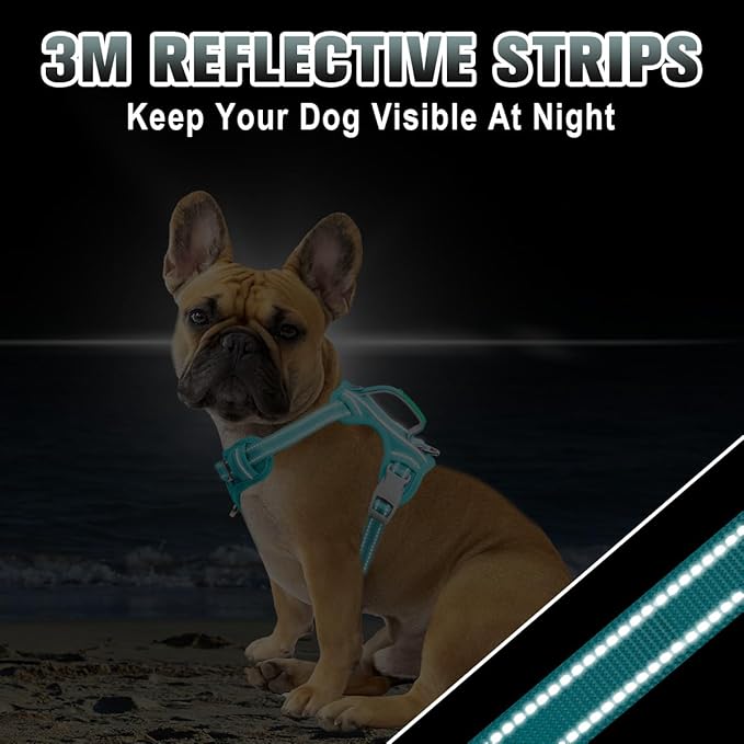 BARKBAY No Pull Dog Harness Large Reflective Dog Harness with Front Clip and Easy Control Handle for Walking Training Running with ID tag Pocket(Ocean Blue,XS)