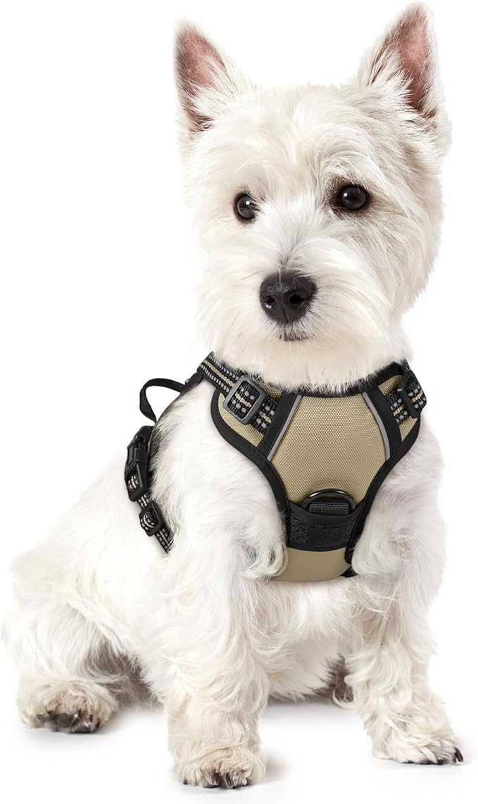 rabbitgoo Dog Harness No Pull with 2 Leash Clips, Adjustable Soft Padded, Reflective Oxford No Choke Pet Vest with Easy Control Handle for Puppy, Beige, XS
