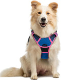 rabbitgoo Dog Harness No Pull with 2 Leash Clips, Adjustable Soft Padded, Reflective Oxford No Choke Pet Vest with Easy Control Handle for Large Dogs, Blue & Hot Pink, M