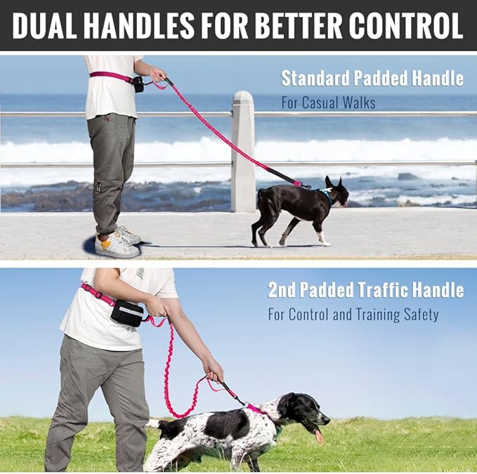 Plutus Pet Hands Free Dual Handle Retractable Bungee Leash with Reflective Stitches, Adjustable Waist Leash for Dog Walking, Running, Jogging, Medium Large Dogs