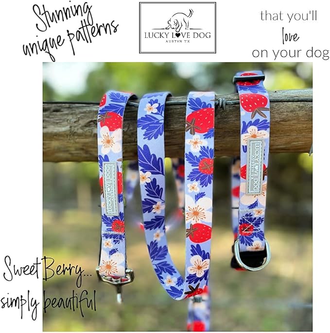 Lucky Love Dog - Easy Click Buckle Dog Collar with Leash Set Combo, Durable & Comfortable for Male & Female Dogs, Pet Collar for Small to Large Dogs, Secure Fit - Sweet Berry Combo, XS
