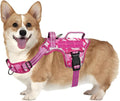 Small Dog Harness, Heavy Duty Tactical No Pull Dog Harness, No Choke, Easy On and Off Pet Vest with Molle System, Adjustable Reflective Dog Vest with Breathable Padded for Walking Hiking Training
