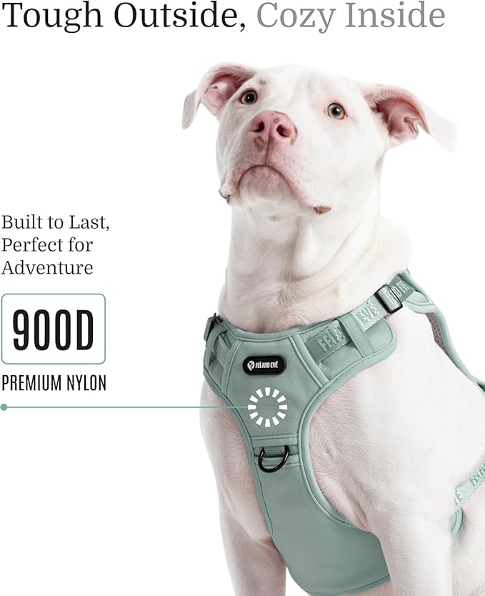2025 New Edition, Fei & Eve MagEase Dog Harness - 3-Second Magnetic Buckles | 3-Point No-Pull Control | Heavy-Duty 900D Nylon | Dual Safety Handles | Breathable Mesh | Adjustable Fit | Small, Green