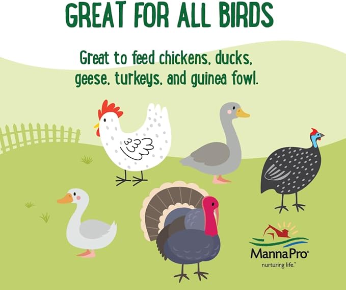 Manna Pro Farmhouse Favorites Mealworms Poultry Treat - Protein Treat for Chicken - Poultry, Turkey, Ducks, Geese, and Guinea Fowl Treat - Contains 50% Protein - 100% Natural Poultry Snack - 2lbs