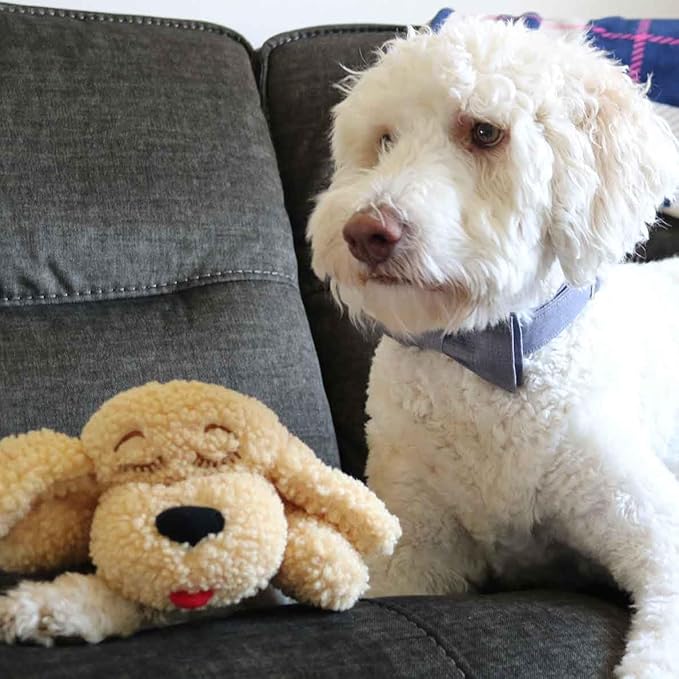 Special Edition Snuggle Puppy Toys - Heartbeat Puppy for Dogs - Pet Anxiety Relief and Calming Aid - Comfort Dog Toys for Behavioral Training in Doodle